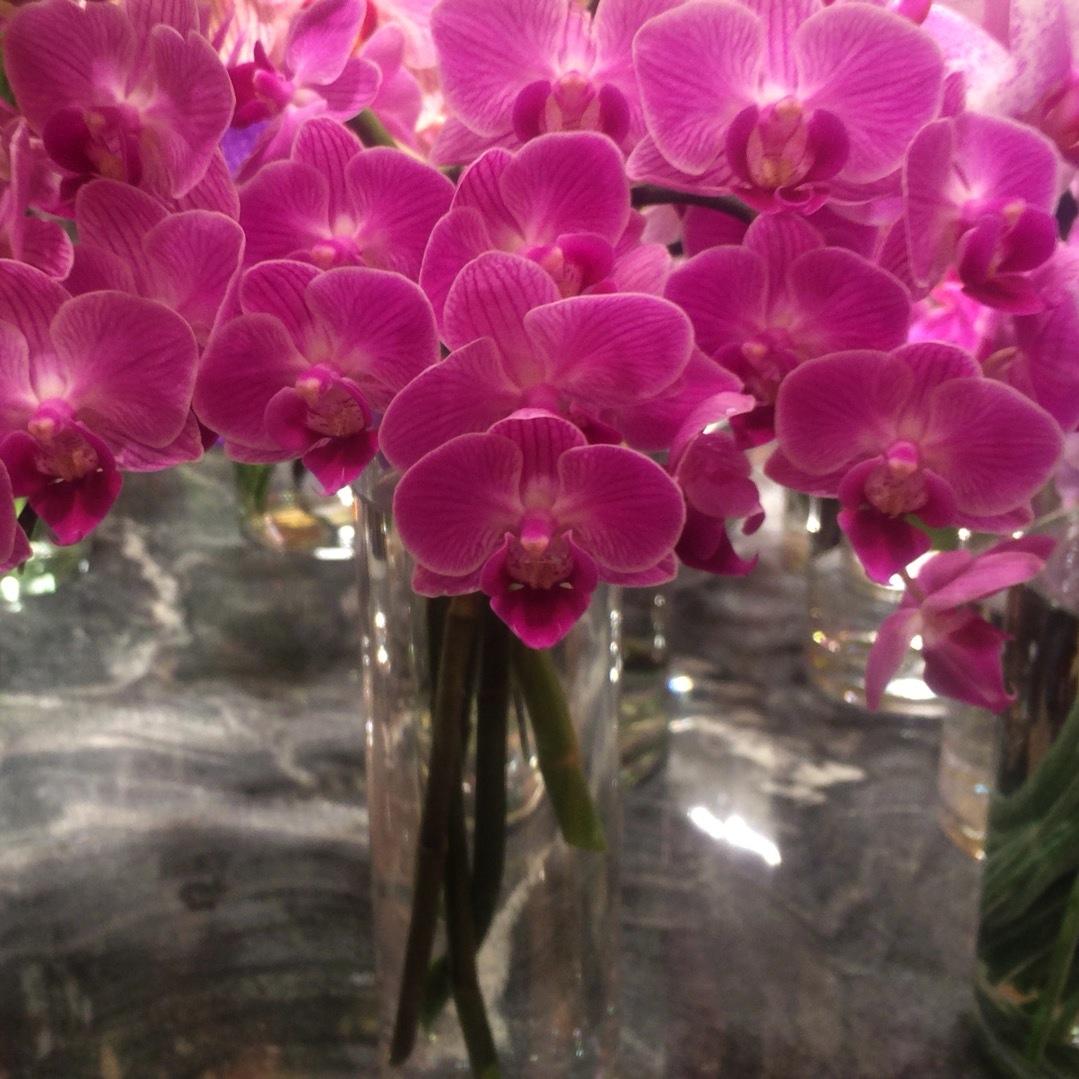 mtmhsk's profile picture. 