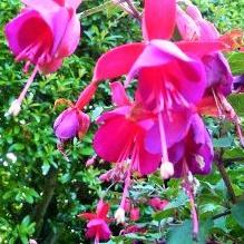 Mon blog : http://t.co/fKz75ErZJM                   Love you ❤