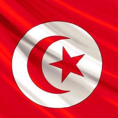 Tunisian diplomat. Tweeting in my personal Capacity. RT is not endorsment.