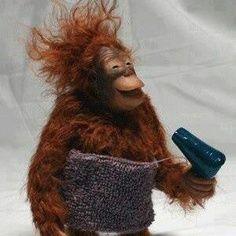 spameggandspam's profile picture. Bipedal, generally. INFJ. Is trying so hard to impress you with this uninformative bio. Playing it cool while panicking. Books. NES. Making things. Coffee.