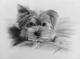 bivainyte's profile picture. 