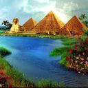 salahsalehmohamd (@01221998752s) Twitter