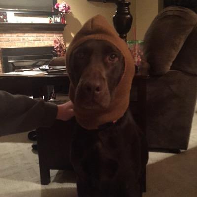 jaybodennie's profile picture. Husband & Father who just realized Twitter is a facebook newsfeed, but for people much cooler than my friends.