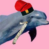 no (@tbhfuet) 's Twitter Profile Photo