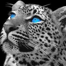 camillecc565's profile picture. Yolo les gens