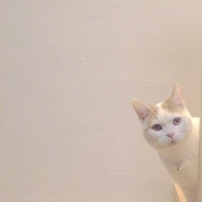 zaziemon Profile Picture