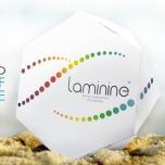 YourStemCell's profile picture. 