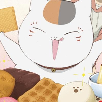 2582_animal's profile picture. 