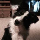 Mark Fetty - @FettyMark - Twitter