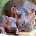 DanaBowlin - @DanaBowlin7 - Twitter