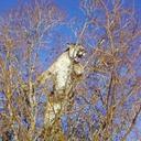 Devin Hughes - @LionHughes - Twitter