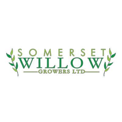 willowgrowers's profile picture. 