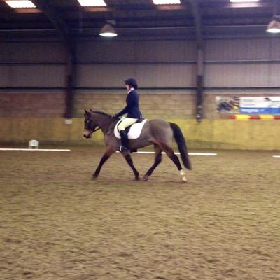 I am an Animal Care Assessor. All views posted on this page are my own