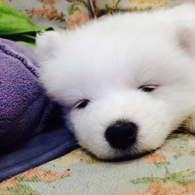 TKuns's profile picture. Hi,dear friends. I'm come from Nanjing CHINA and my name is ShaoKun Chow if you like Completely can call me John.Thomas.