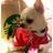 buggooflequio's profile image