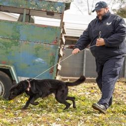 TRW2012's profile picture. Chief Operations Officer, Animal Rescue Corps