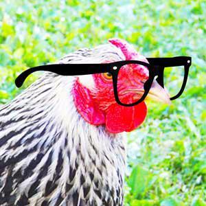 HicksterTees's profile picture. 