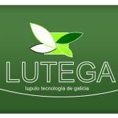 LUTEGA (@lu_te_ga) 's Twitter Profile
