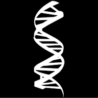 Ilse G. Knecht (@maximizedna) 's Twitter Profile Photo Ilse G. Knecht (@maximizedna) 's Twitter Profile Photo