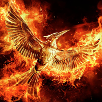 The Hunger Gamers (@thehungergamers) 's Twitter Profile