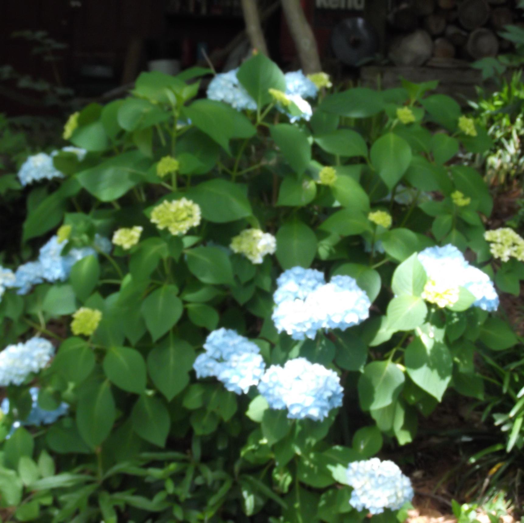 kids0103's profile picture. 