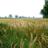 FarmSurveyUK's profile image