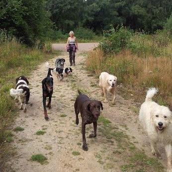 We are a professional, caring and reliable dog walking service based in the Hampshire area. We offer long, fulfilling walks for your furry best friend! :)
