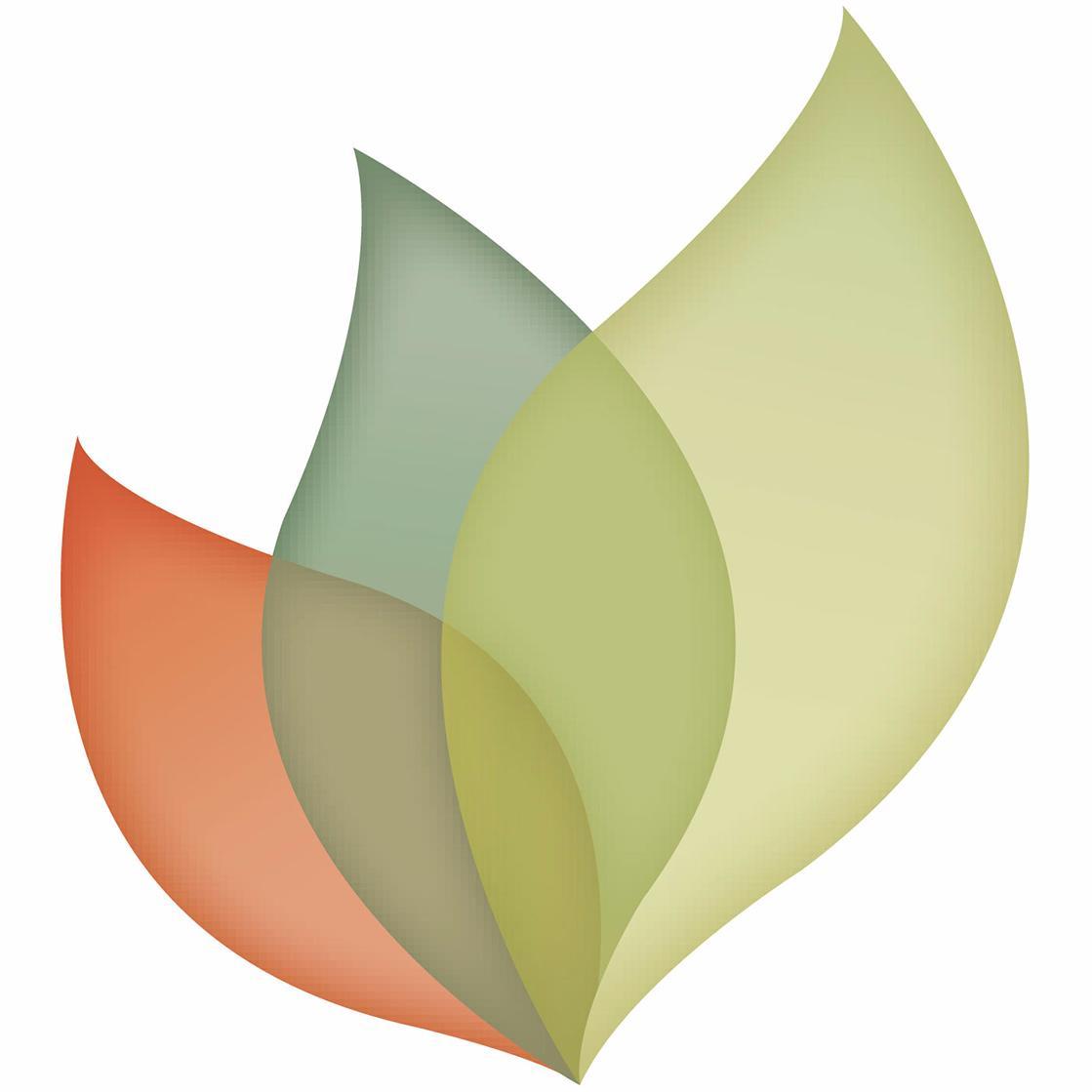 Web designer, systems creator, project manager and company owner. Creator of Teamleaf - Laravel and CI geek.