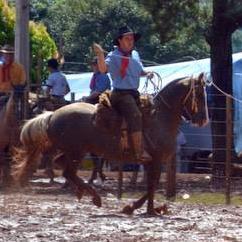 FabioGaucho88's profile picture. 