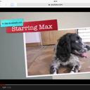 Ella Ware - @ellaware123 - Twitter