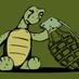 Curious Turtle (@turtlecurious) Twitter profile photo