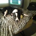 Mackenzie Farrington - @LamboBoy2005 - Twitter