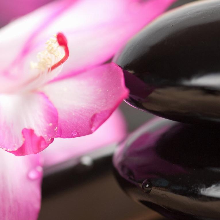 beauty therapist situated in Benfleet, Essex. Please check out my website below and follow me for the latest offers and updates from The Garden Spa.