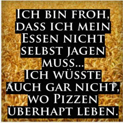 sso_grayahaven's profile picture. 