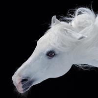 Dogan Sahinoglu (@sahinogludogan) Twitter profile photo