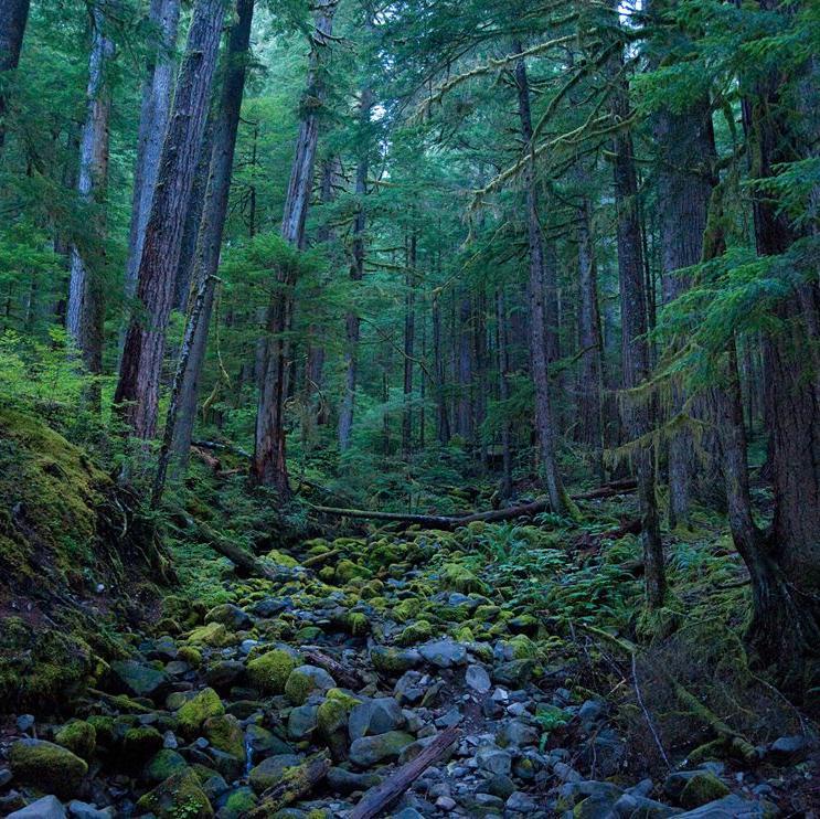 USHistoricParks's profile picture. Supporting the historically important parks of the U.S. and educating the general public on U.S. History through social media posts & public events.