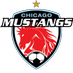 Chicago Mustangs (@MustangsSoccer) Twitter profile photo