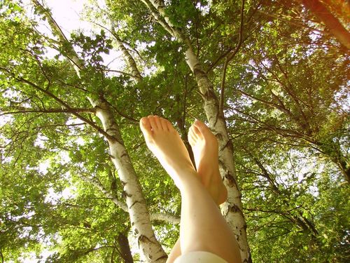 kauderwelz's profile picture. 