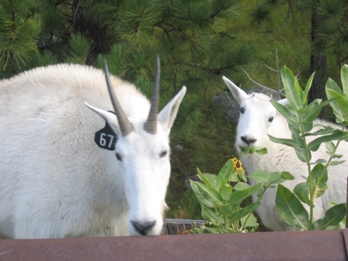 bdaiss's profile picture. 