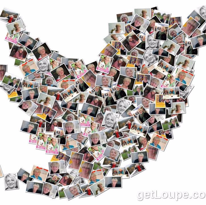 Fiskumfrue's profile picture. 