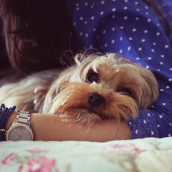 Miss_so_j's profile picture. 