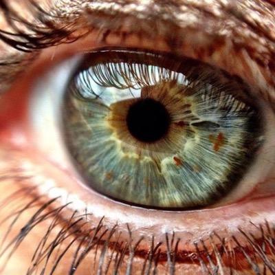 flimbouille's profile picture. 33, Toulouse, France - Mother / English teacher / Serial knitter / Girly and Geeky