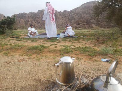 حائل