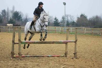 AllanSimonneaux's profile picture. Cavalier#19ans#Rennes