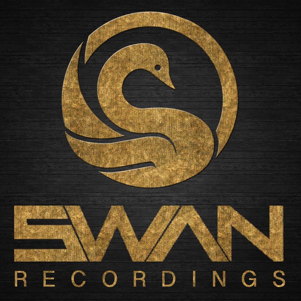 Swan Recordings || swiss record label || Demo: swanrecordings@gmail.com