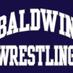 Baldwin Wrestling (@bdogwrestling) Twitter profile photo Baldwin Wrestling (@bdogwrestling) Twitter profile photo