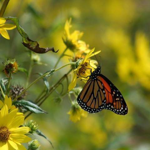 womanfish_14's profile picture. Love God, Love all the people trying to make our world a better place. A teacher & a student of life. Hopeful & Optimistic. Honest & Sincere. Bless:)