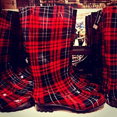 A Fifer by birth..... A Jack of all trades by day..... Images of Daily Life Capturer by Night.... A Welly Wearer Extraordinaire (Tartan Especially....!!!!).