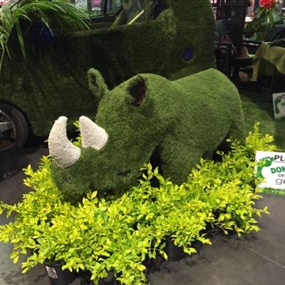 EasigrassCape's profile picture. We provide the perfect playing surface for your play school, putting green or just the corner of the garden set a side for your children to play in..