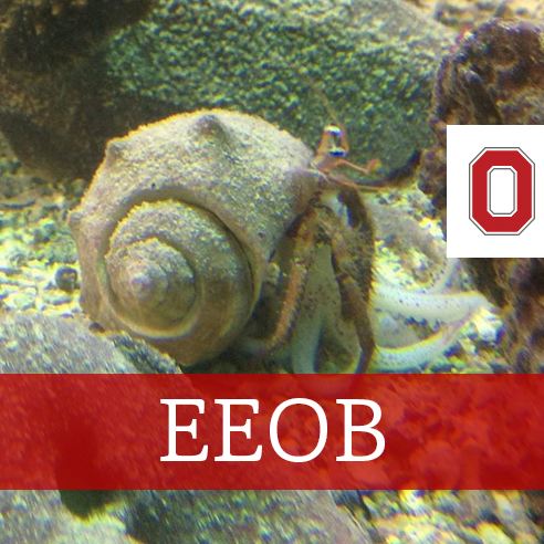 EEOB_OSU Profile Picture